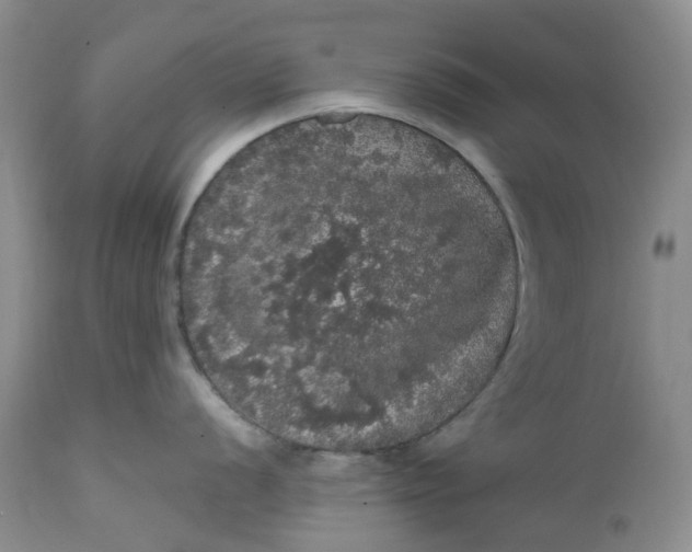 X0000112161056200908281359