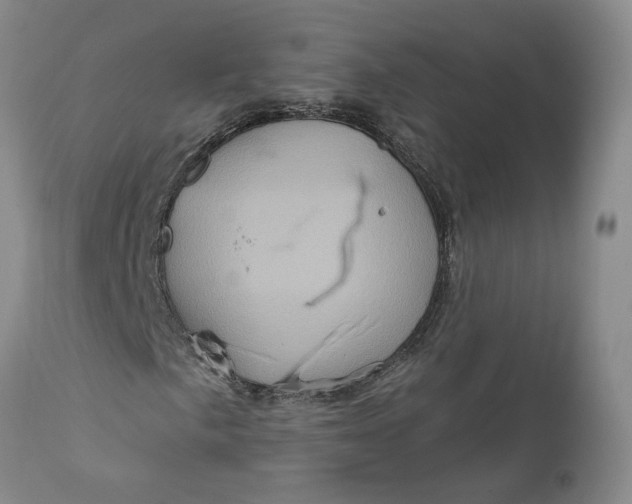 X0000112161057200908281358