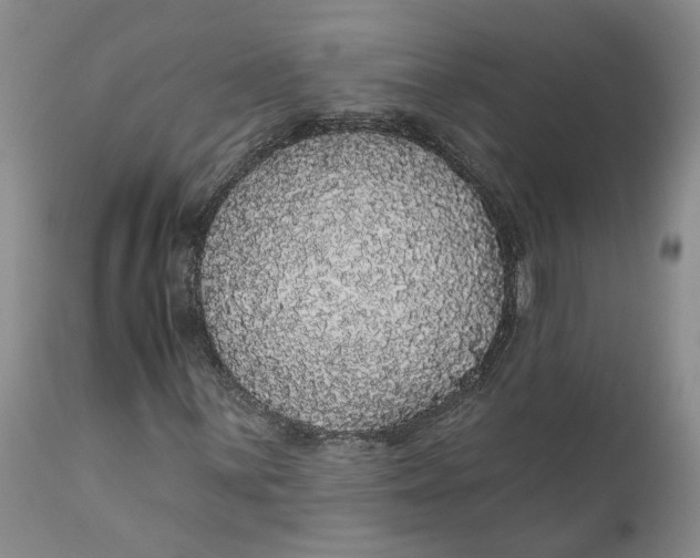 X0000112161059200908281358