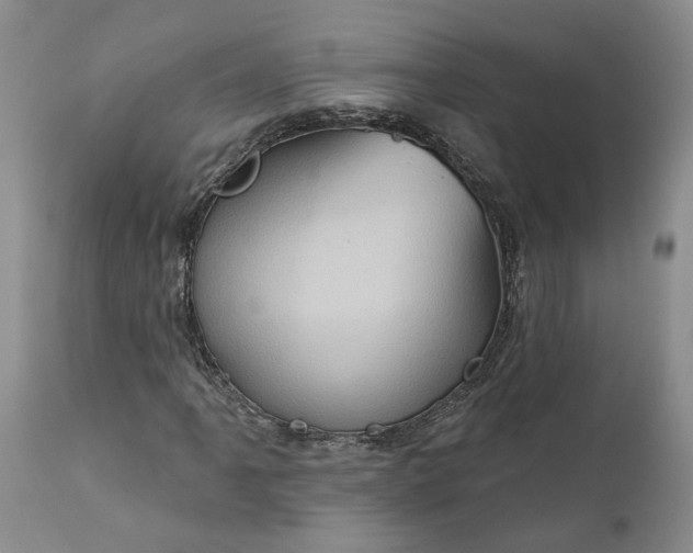 X0000112161061200908281358