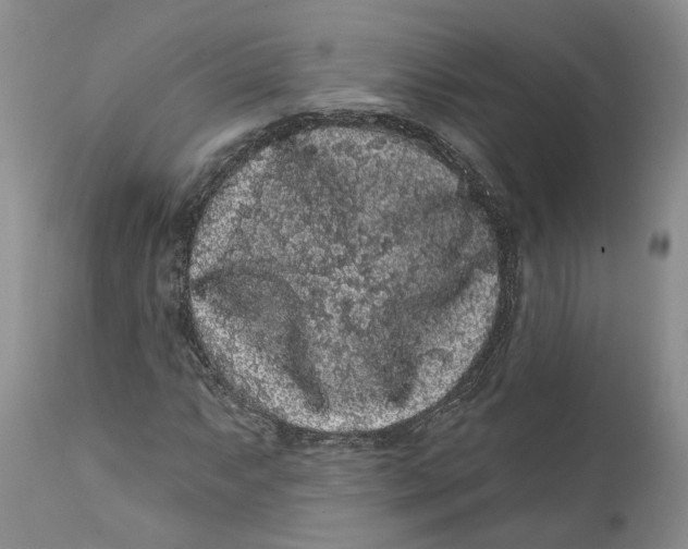 X0000112161063200908281358