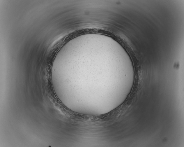 X0000112161064200908281358