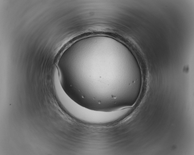 X0000112161065200908281358