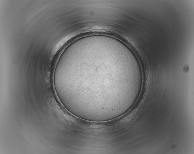 X0000112161066200908281358