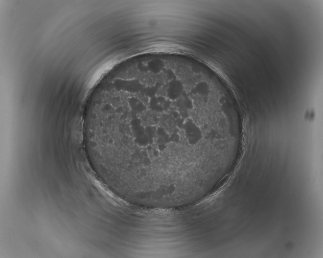 X0000112161067200908281358