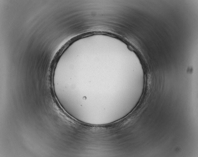 X0000112161068200908281358