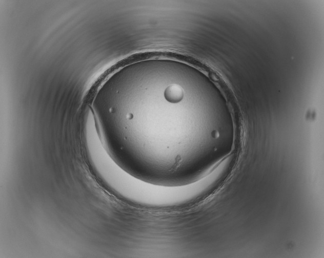 X0000112161069200908281358