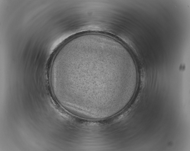 X0000112161070200908281358