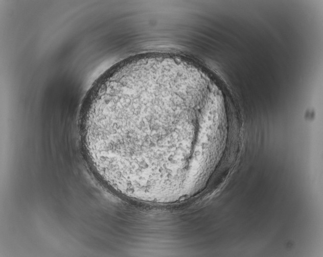 X0000112161071200908281358