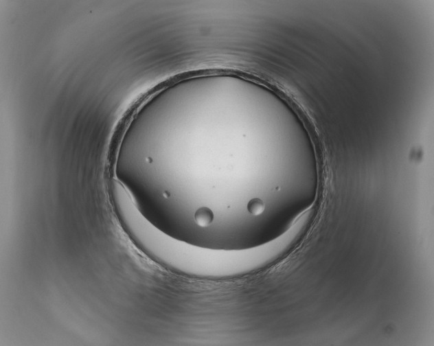 X0000112161072200908281358