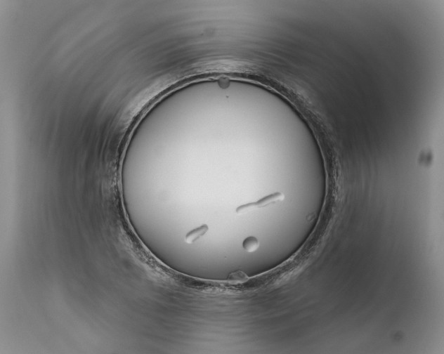 X0000112161073200908281358