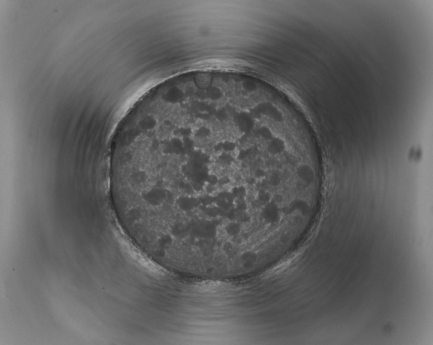 X0000112161075200908281358