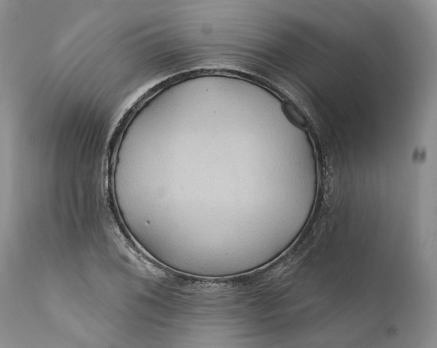 X0000112161076200908281358