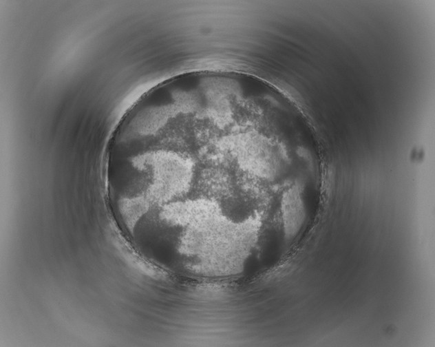 X0000112161078200908281358