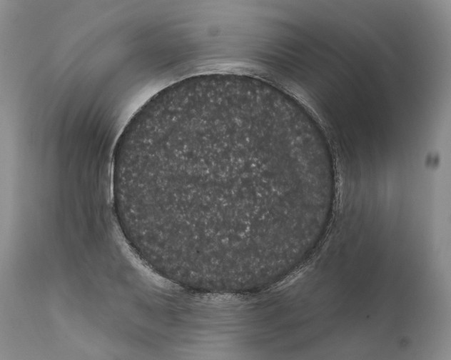 X0000112161079200908281358