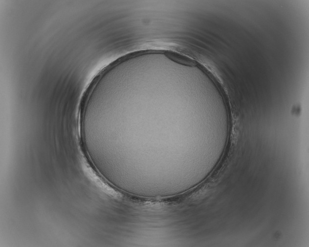 X0000112161080200908281358