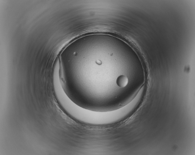 X0000112161081200908281358