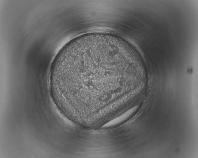 X0000112161083200908281358