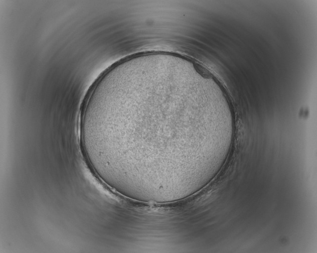 X0000112161084200908281358