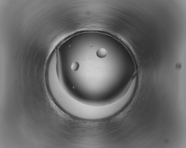 X0000112161085200908281358