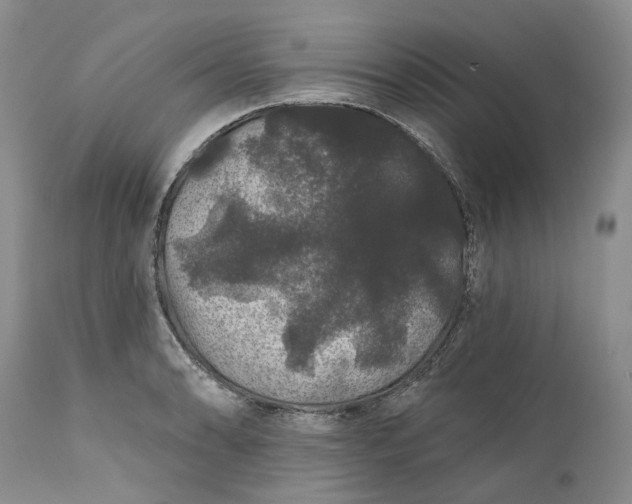 X0000112161086200908281358