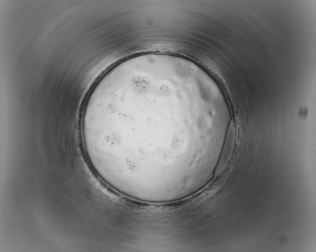 X0000112161087200908281358