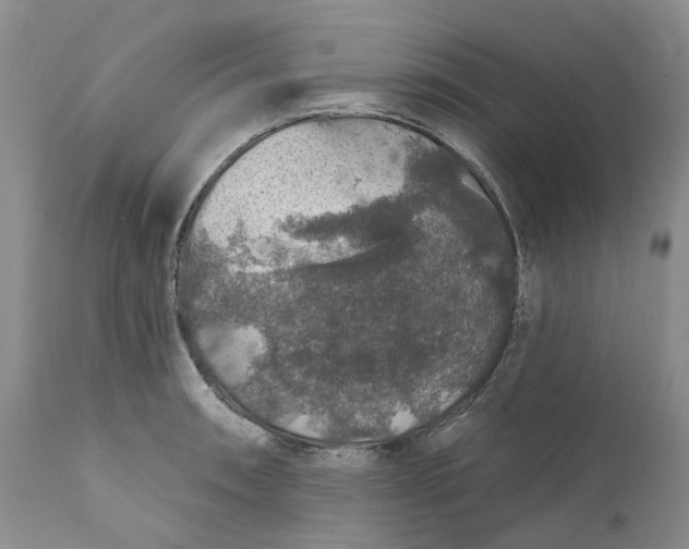 X0000112161090200908281358