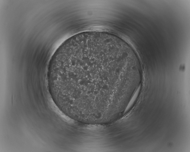 X0000112161091200908281358