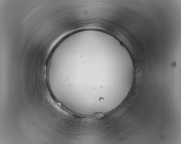 X0000112161092200908281358