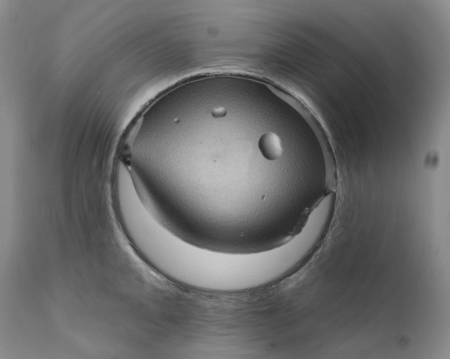 X0000112161093200908281358