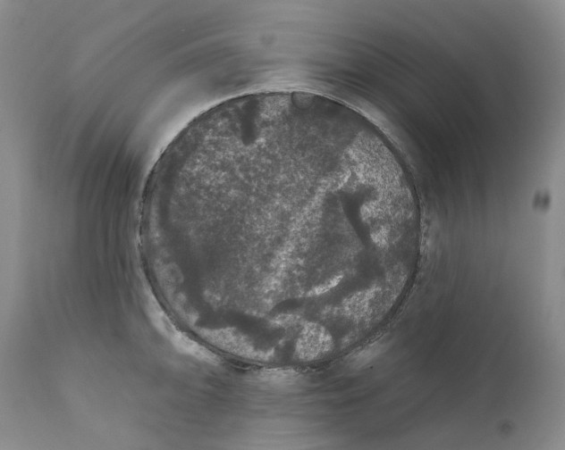 X0000112161094200908281358