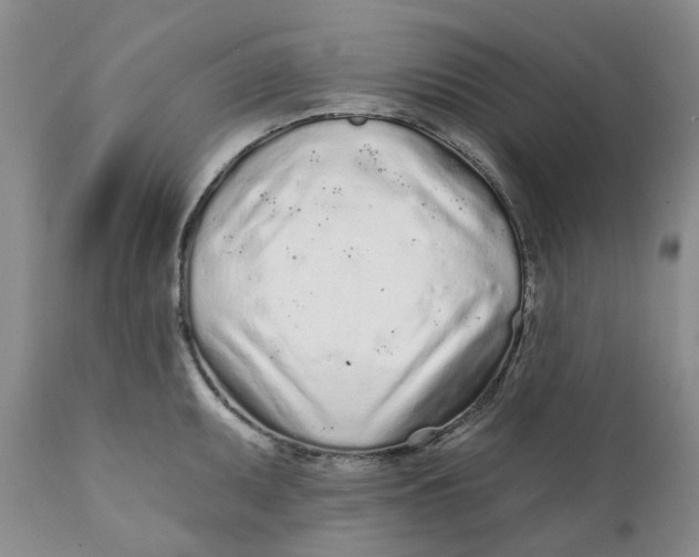 X0000112161095200908281358