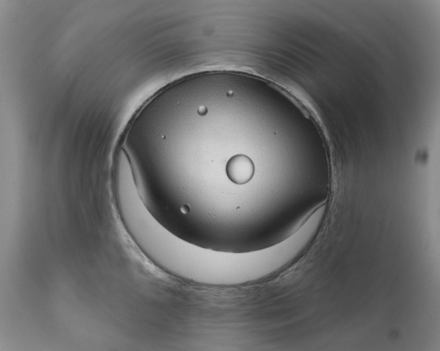 X0000112161096200908281358