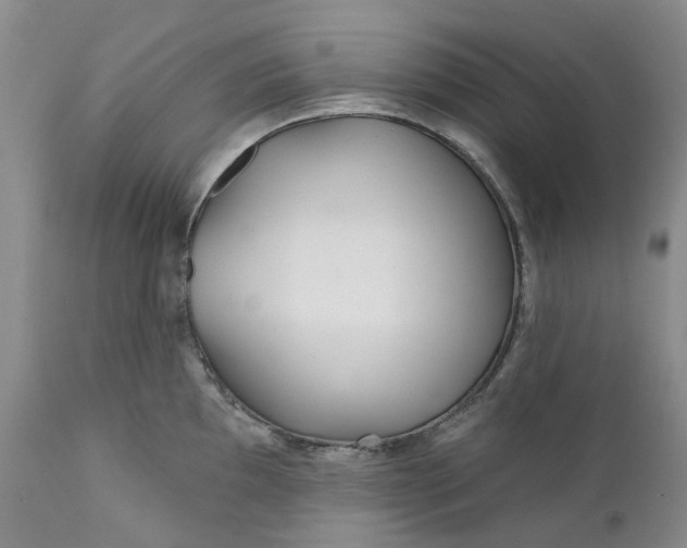 X0000112161097200908281358