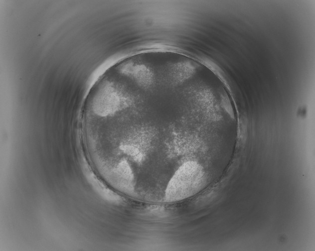 X0000112161098200908281358