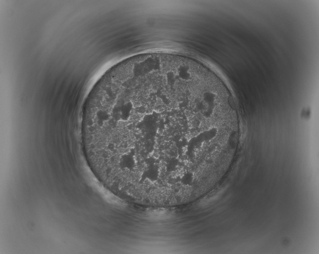 X0000112161099200908281358