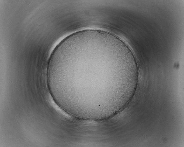 X0000112161100200908281358