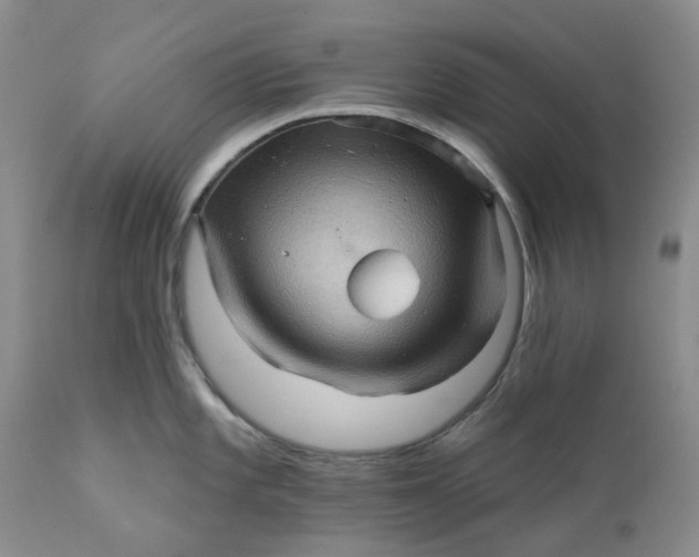 X0000112161101200908281358