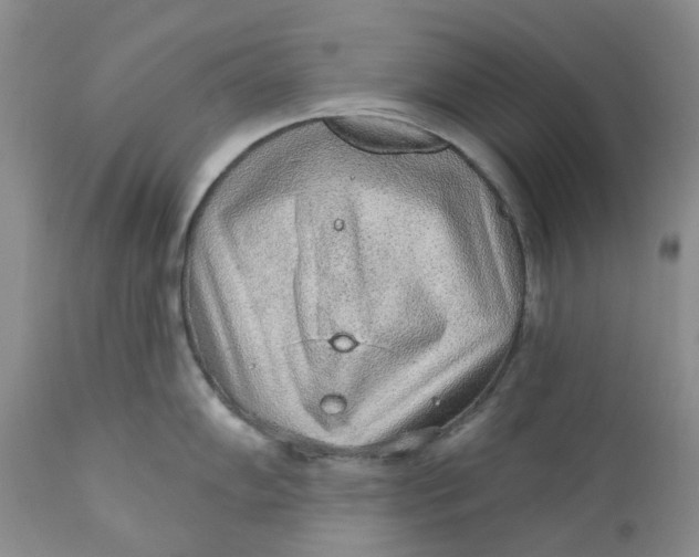 X0000112161102200908281358