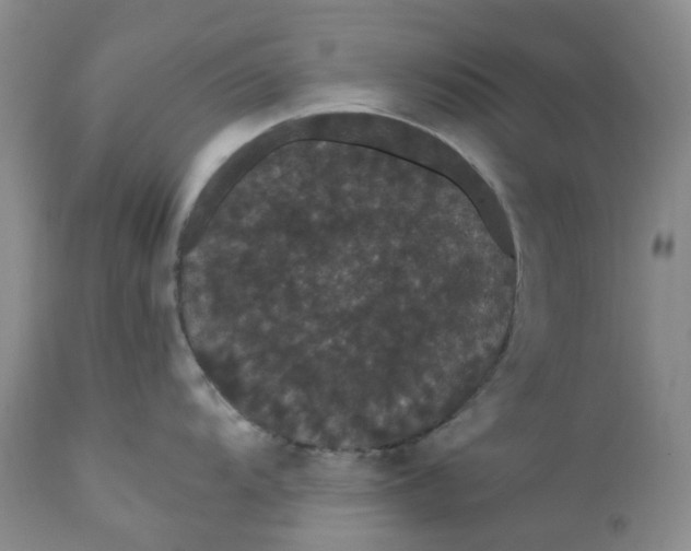 X0000112161104200908281358