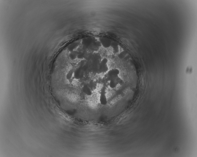 X0000112161105200908281357