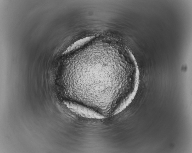 X0000112161106200908281357