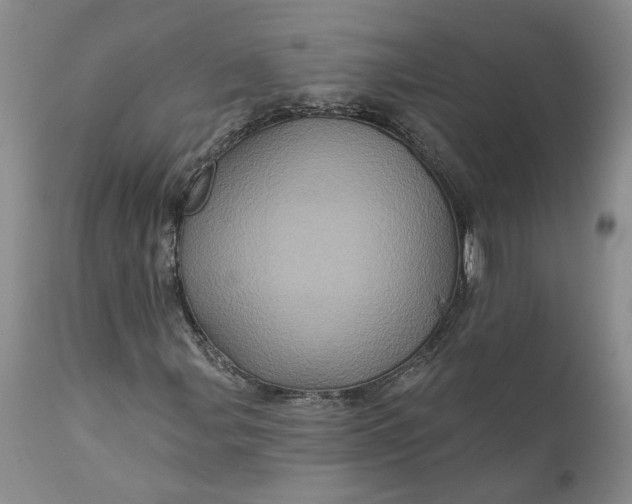 X0000112161107200908281357