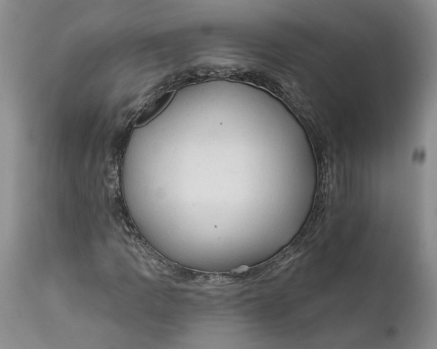 X0000112161109200908281357