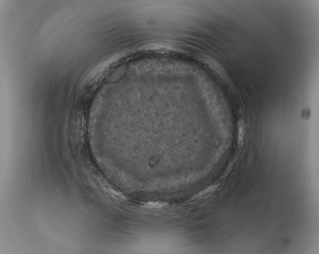 X0000112161111200908281357