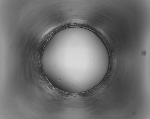 X0000112161112200908281357