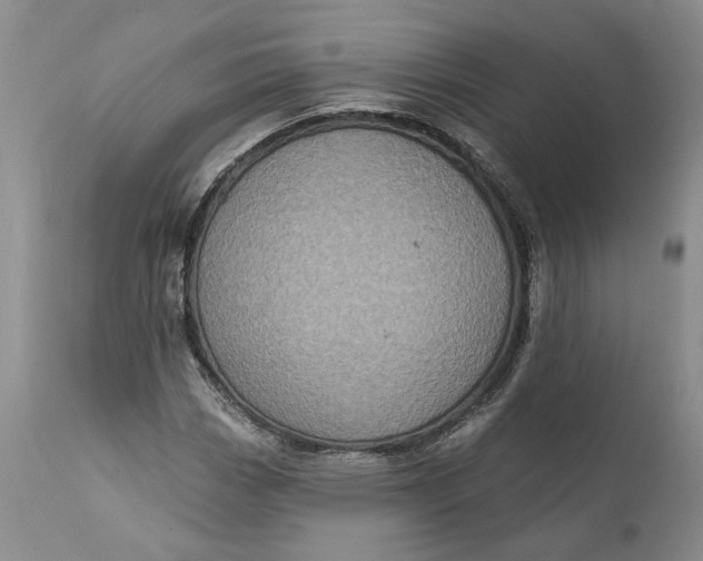 X0000112161113200908281357