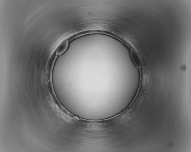 X0000112161116200908281357