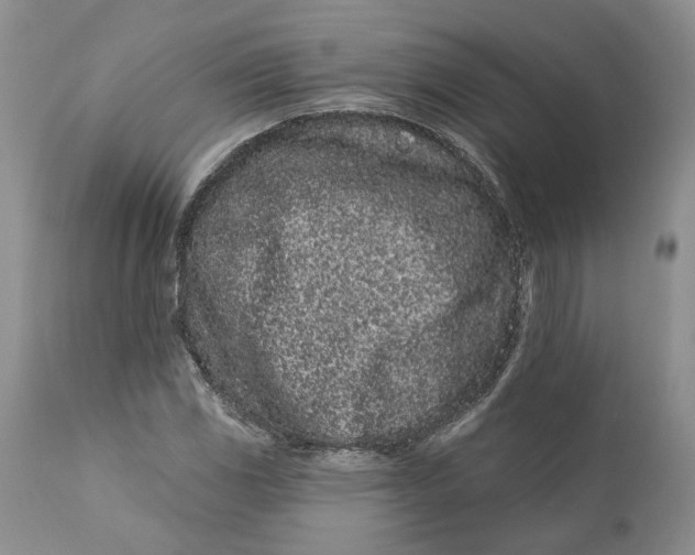 X0000112161117200908281357