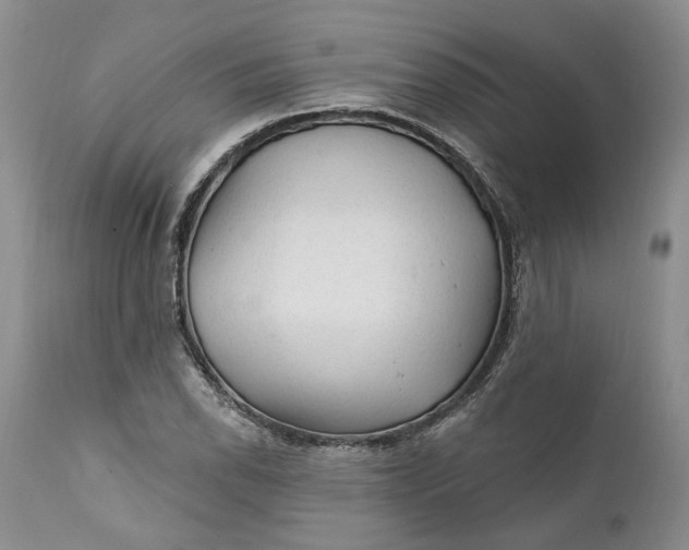 X0000112161118200908281357